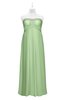 ColsBM Paris Gleam Plus Size Bridesmaid Dresses Pleated A-line Glamorous Sleeveless Zip up Strapless