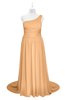 ColsBM Raelynn Apricot Plus Size Bridesmaid Dresses Cinderella Asymmetric Neckline A-line Sleeveless Half Backless Sash