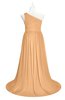 ColsBM Raelynn Apricot Plus Size Bridesmaid Dresses Cinderella Asymmetric Neckline A-line Sleeveless Half Backless Sash