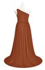 ColsBM Raelynn Bombay Brown Plus Size Bridesmaid Dresses Cinderella Asymmetric Neckline A-line Sleeveless Half Backless Sash