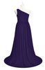 ColsBM Raelynn Royal Purple Plus Size Bridesmaid Dresses Cinderella Asymmetric Neckline A-line Sleeveless Half Backless Sash