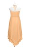 ColsBM Remi Apricot Plus Size Prom Dresses Ruching A-line Zipper Sexy Floor Length Sleeveless