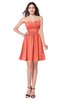 ColsBM Haylee Fusion Coral Bridesmaid Dresses Zipper Sash Strapless Simple A-line Sleeveless