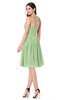 ColsBM Kyleigh Sage Green Bridesmaid Dresses A-line Halter Sleeveless Zipper Knee Length Cute