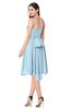 ColsBM Braidy Ice Blue Bridesmaid Dresses Spaghetti A-line Half Backless Pleated Knee Length Modern