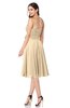 ColsBM Whitney Apricot Gelato Classic A-line Sweetheart Sleeveless Tea Length Pleated Plus Size Bridesmaid Dresses
