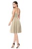 ColsBM Jillian Novelle Peach Gorgeous Sweetheart Sleeveless Half Backless Knee Length Plus Size Bridesmaid Dresses