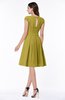 ColsBM Maya Golden Olive Modest A-line Short Sleeve Chiffon Knee Length Sash Plus Size Bridesmaid Dresses