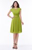 ColsBM Maya Green Oasis Modest A-line Short Sleeve Chiffon Knee Length Sash Plus Size Bridesmaid Dresses
