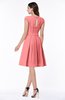 ColsBM Maya Shell Pink Modest A-line Short Sleeve Chiffon Knee Length Sash Plus Size Bridesmaid Dresses