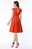 ColsBM Maya Tangerine Tango Modest A-line Short Sleeve Chiffon Knee Length Sash Plus Size Bridesmaid Dresses