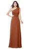 ColsBM Aislinn Bombay Brown Modest A-line Sleeveless Half Backless Floor Length Ribbon Plus Size Bridesmaid Dresses