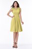 ColsBM Jenny Misted Yellow Simple A-line Scoop Sleeveless Chiffon Knee Length Plus Size Bridesmaid Dresses