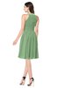ColsBM Ariana Fair Green Glamorous A-line Jewel Sleeveless Zipper Knee Length Bridesmaid Dresses