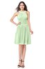 ColsBM Ariana Pale Green Glamorous A-line Jewel Sleeveless Zipper Knee Length Bridesmaid Dresses