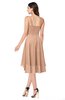 ColsBM Ainsley Almost Apricot Elegant A-line Zipper Hi-Lo Ruching Plus Size Bridesmaid Dresses