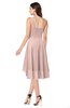 ColsBM Ainsley Dusty Rose Elegant A-line Zipper Hi-Lo Ruching Plus Size Bridesmaid Dresses