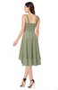 ColsBM Ainsley Moss Green Elegant A-line Zipper Hi-Lo Ruching Plus Size Bridesmaid Dresses