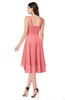 ColsBM Ainsley Shell Pink Elegant A-line Zipper Hi-Lo Ruching Plus Size Bridesmaid Dresses