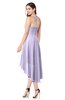 ColsBM Hannah Light Purple Casual A-line Halter Half Backless Asymmetric Ruching Plus Size Bridesmaid Dresses