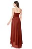 ColsBM Autumn Rust Simple A-line Sleeveless Zip up Asymmetric Ruching Plus Size Bridesmaid Dresses