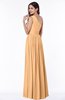 ColsBM Felicity Apricot Classic A-line One Shoulder Half Backless Floor Length Pleated Plus Size Bridesmaid Dresses