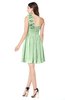 ColsBM Bianca Light Green Elegant Sweetheart Sleeveless Zipper Mini Flower Plus Size Bridesmaid Dresses