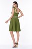 ColsBM Lila Olive Green Informal Sleeveless Chiffon Short Sequin Plus Size Bridesmaid Dresses