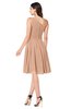 ColsBM Lorelei Almost Apricot Elegant Asymmetric Neckline Zipper Chiffon Knee Length Plus Size Bridesmaid Dresses
