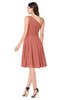 ColsBM Lorelei Crabapple Elegant Asymmetric Neckline Zipper Chiffon Knee Length Plus Size Bridesmaid Dresses