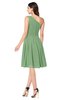 ColsBM Lorelei Fair Green Elegant Asymmetric Neckline Zipper Chiffon Knee Length Plus Size Bridesmaid Dresses