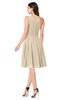 ColsBM Lorelei Novelle Peach Elegant Asymmetric Neckline Zipper Chiffon Knee Length Plus Size Bridesmaid Dresses