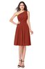 ColsBM Lorelei Rust Elegant Asymmetric Neckline Zipper Chiffon Knee Length Plus Size Bridesmaid Dresses