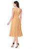 ColsBM Wynter Salmon Buff Traditional A-line Jewel Sleeveless Tea Length Pleated Plus Size Bridesmaid Dresses