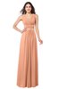 ColsBM Kelly Salmon Glamorous A-line Zip up Chiffon Sash Plus Size Bridesmaid Dresses