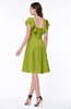 ColsBM Emely Green Oasis Simple A-line Portrait Knee Length Ribbon Plus Size Bridesmaid Dresses