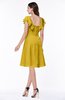ColsBM Emely Lemon Curry Simple A-line Portrait Knee Length Ribbon Plus Size Bridesmaid Dresses