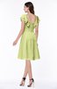 ColsBM Emely Lime Green Simple A-line Portrait Knee Length Ribbon Plus Size Bridesmaid Dresses