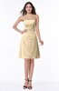 ColsBM Ember Apricot Gelato Modern Sleeveless Zipper Chiffon Ruching Plus Size Bridesmaid Dresses