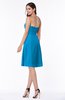 ColsBM Ember Cornflower Blue Modern Sleeveless Zipper Chiffon Ruching Plus Size Bridesmaid Dresses