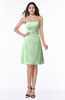 ColsBM Ember Light Green Modern Sleeveless Zipper Chiffon Ruching Plus Size Bridesmaid Dresses