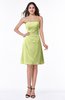 ColsBM Ember Lime Sherbet Modern Sleeveless Zipper Chiffon Ruching Plus Size Bridesmaid Dresses