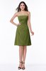 ColsBM Ember Olive Green Modern Sleeveless Zipper Chiffon Ruching Plus Size Bridesmaid Dresses