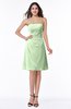 ColsBM Ember Pale Green Modern Sleeveless Zipper Chiffon Ruching Plus Size Bridesmaid Dresses