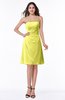 ColsBM Ember Pale Yellow Modern Sleeveless Zipper Chiffon Ruching Plus Size Bridesmaid Dresses
