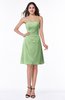 ColsBM Ember Sage Green Modern Sleeveless Zipper Chiffon Ruching Plus Size Bridesmaid Dresses
