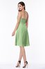 ColsBM Ember Sage Green Modern Sleeveless Zipper Chiffon Ruching Plus Size Bridesmaid Dresses