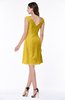 ColsBM Kaylie Lemon Curry Gorgeous A-line Bateau Sleeveless Backless Plus Size Bridesmaid Dresses