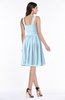 ColsBM Dayana Ice Blue Classic A-line Thick Straps Sleeveless Chiffon Bridesmaid Dresses