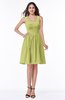 ColsBM Dayana Linden Green Classic A-line Thick Straps Sleeveless Chiffon Bridesmaid Dresses